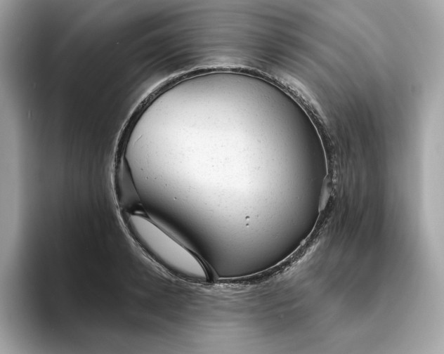 X0000094770942200711301523