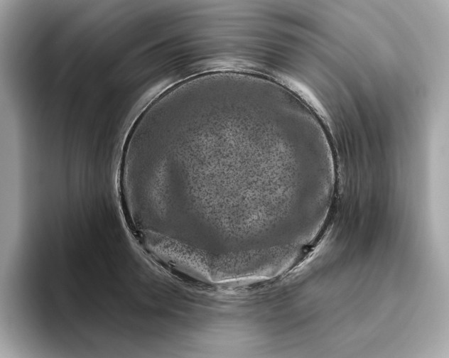 X0000094770946200711301523