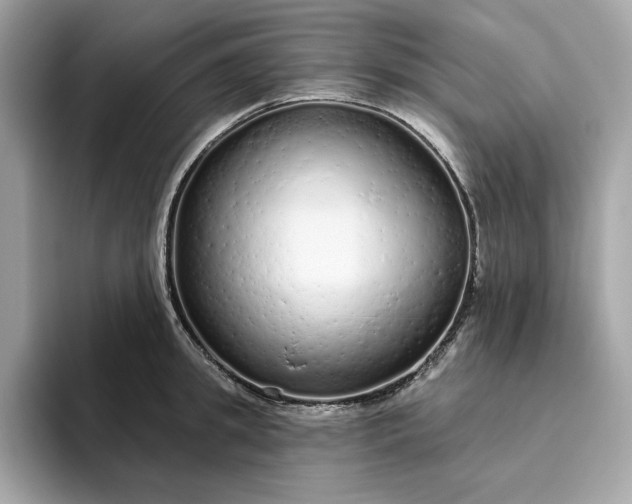 X0000094770949200711301523