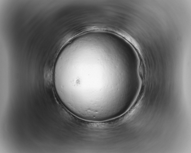 X0000094770953200711301523