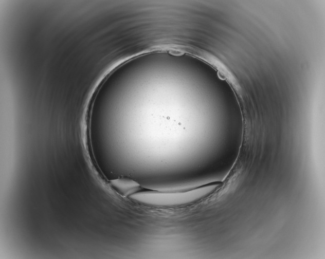 X0000094770955200711301523