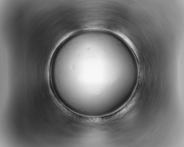 X0000094770957200711301523