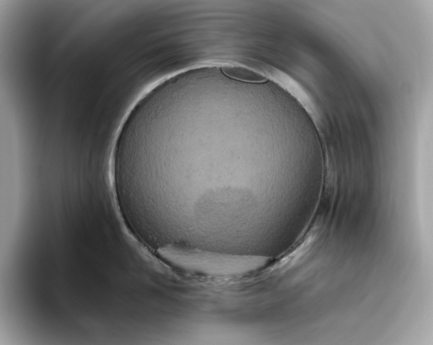 X0000094770958200711301523