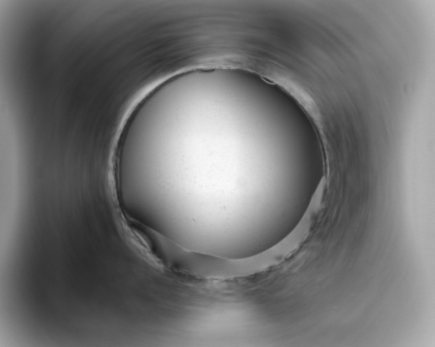 X0000094770960200711301523