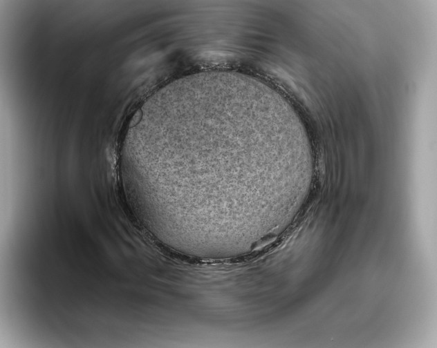 X0000094770964200711301523