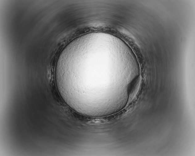 X0000094770966200711301523