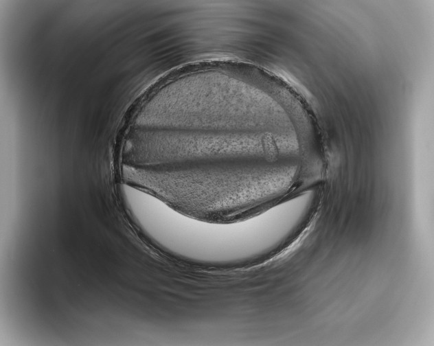 X0000094770969200711301523