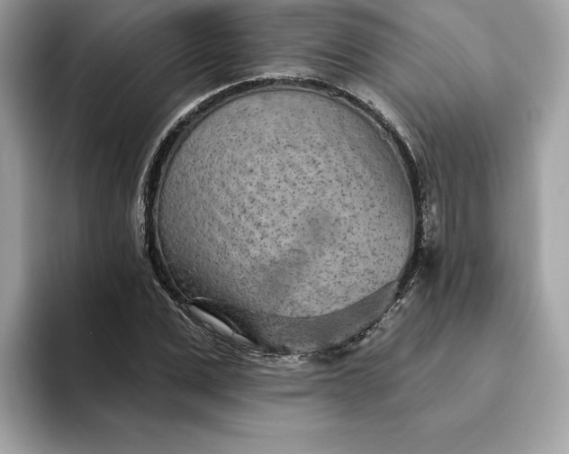 X0000094770975200711301523