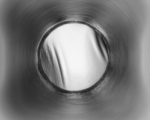 X0000094770980200711301522