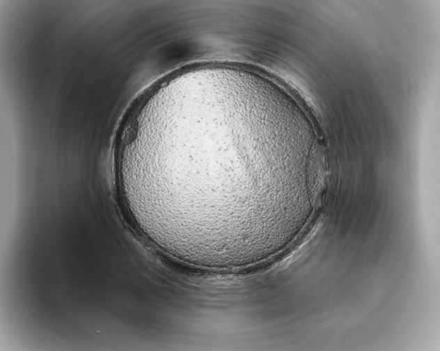 X0000094770982200711301522