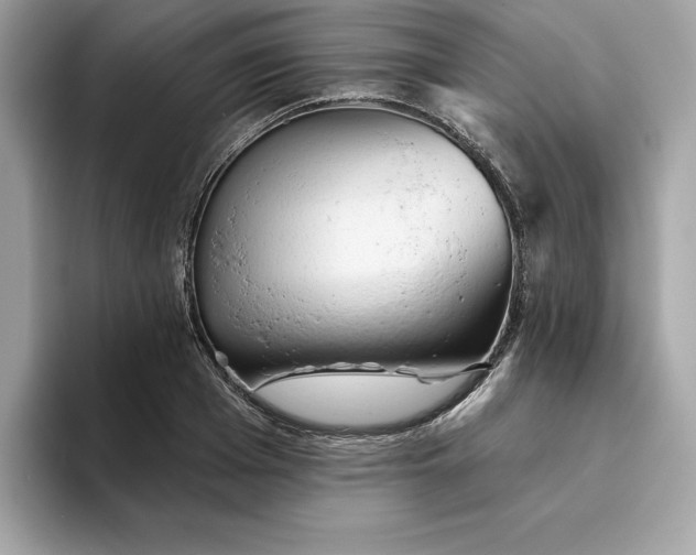 X0000094770985200711301522