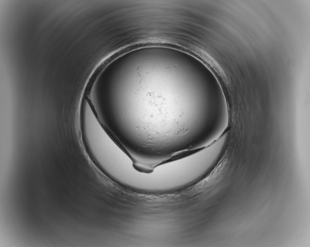 X0000094770988200711301522