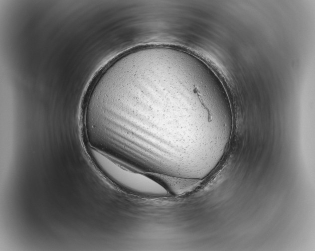 X0000094770990200711301522