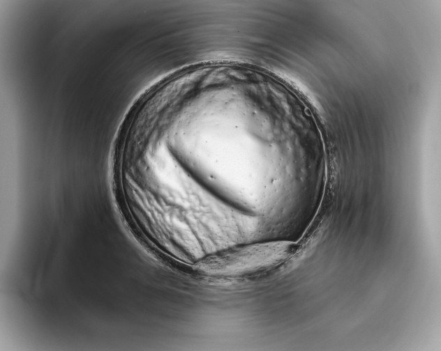 X0000094770991200711301522