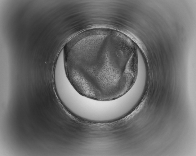 X0000094770993200711301522