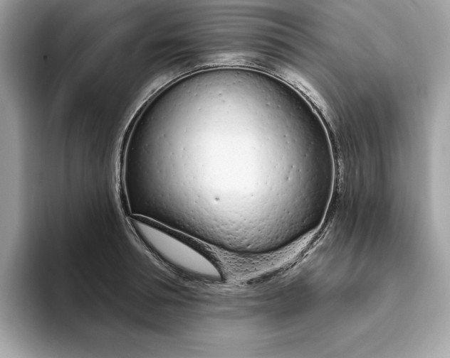 X0000094770994200711301522