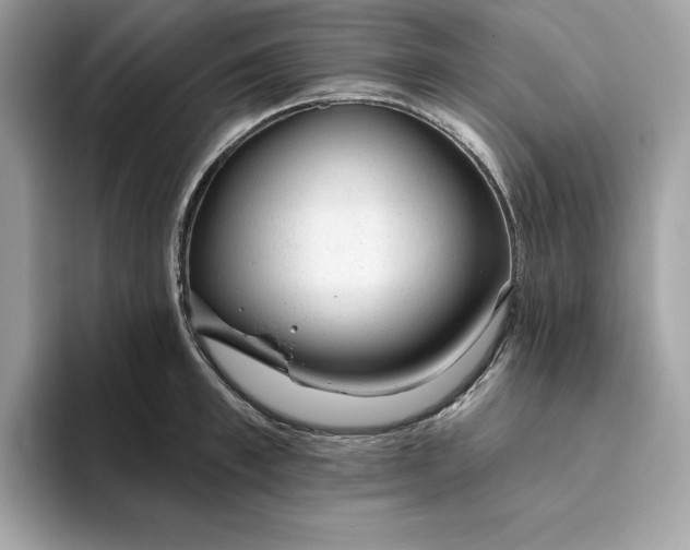 X0000094770997200711301522