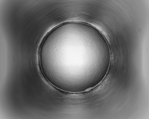 X0000094770998200711301522