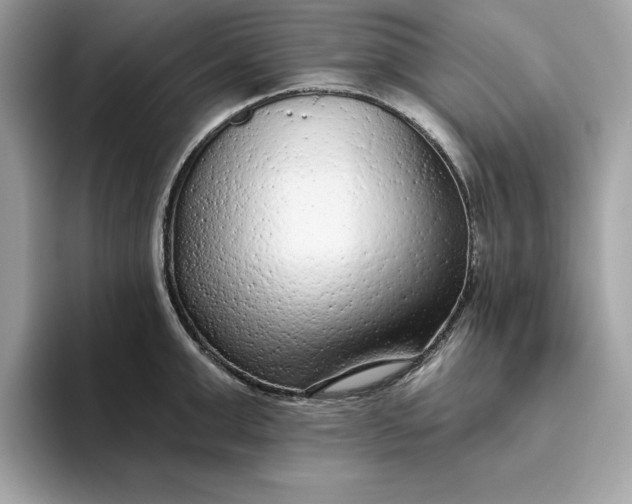 X0000094770999200711301522