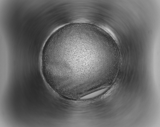 X0000094771000200711301522