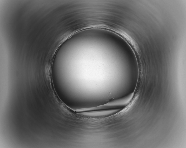 X0000094771001200711301522