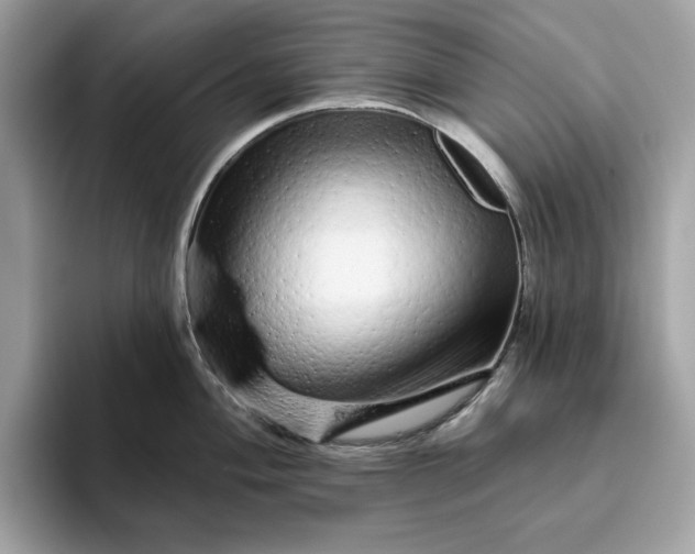 X0000094771004200711301522