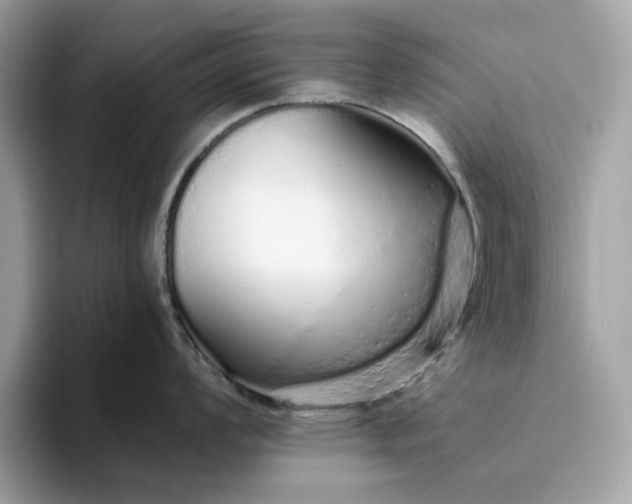 X0000094771008200711301522