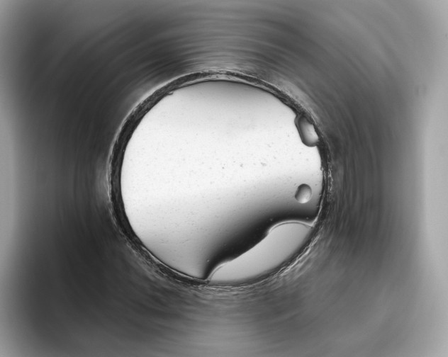 X0000094771020200711301522