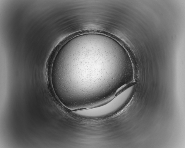 X0000094771022200711301522