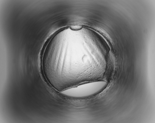 X0000094771031200711301522