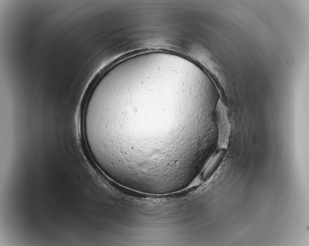 X0000094771032200711301522