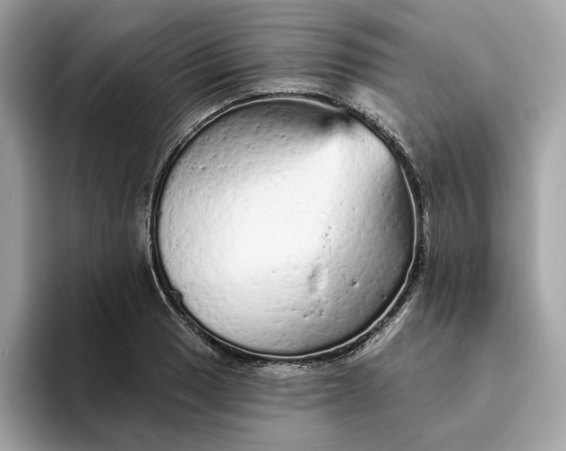 X0000094771033200711301522