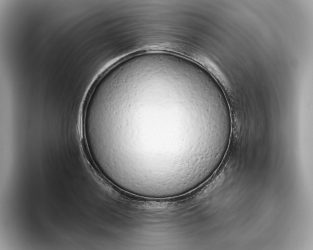 X0000094771036200711301522