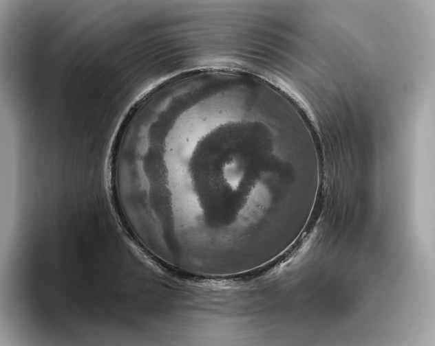 X0000094771037200711301522