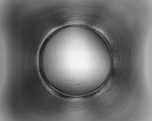 X0000094771038200711301522