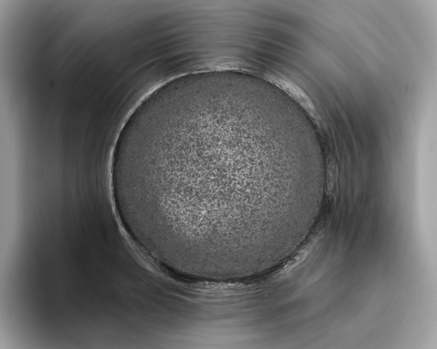 X0000094771039200711301522