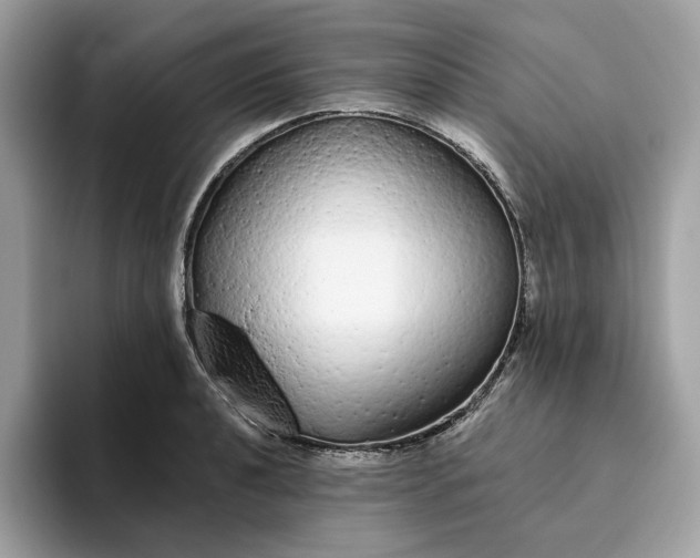 X0000094771040200711301522