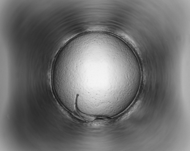 X0000094771041200711301522