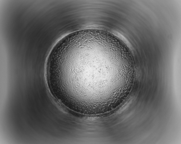 X0000094771043200711301522