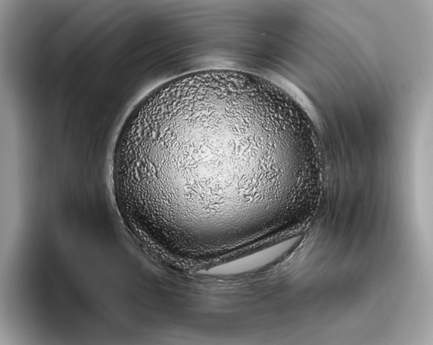 X0000094771051200711301522