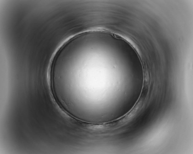 X0000094771054200711301522