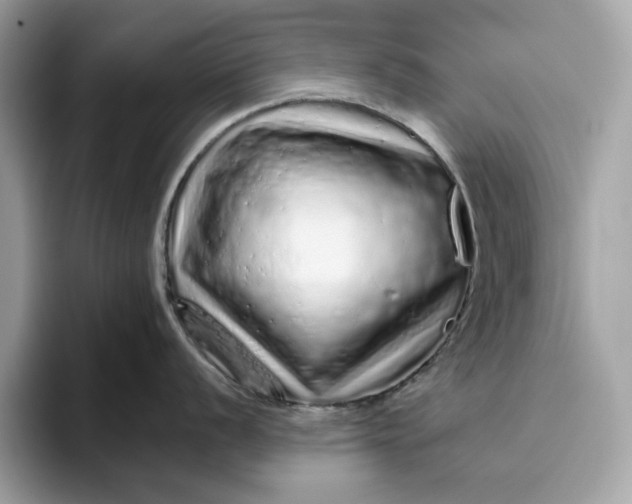 X0000094771056200711301522