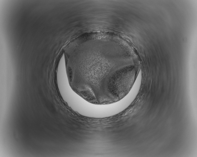 X0000094771057200711301521