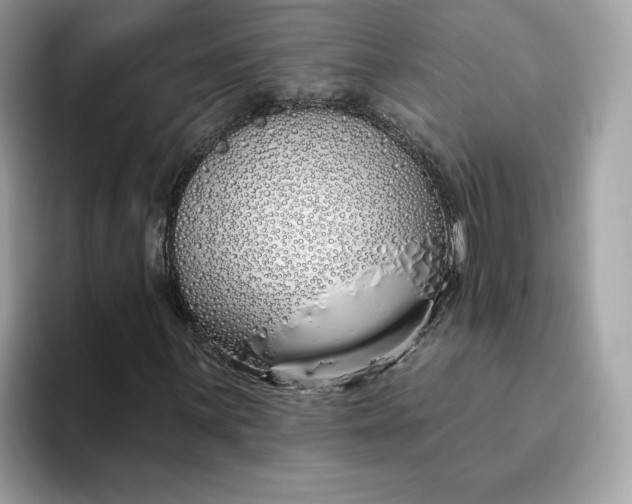 X0000094771059200711301521