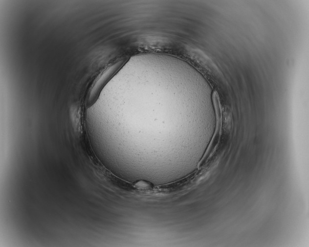 X0000094771060200711301521