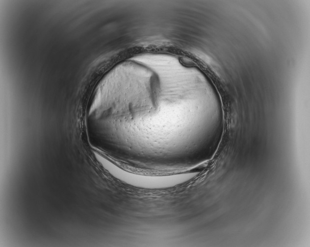 X0000094771063200711301521