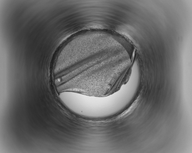 X0000094771065200711301521