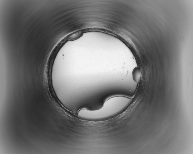 X0000094771068200711301521