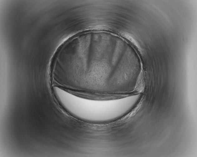 X0000094771071200711301521