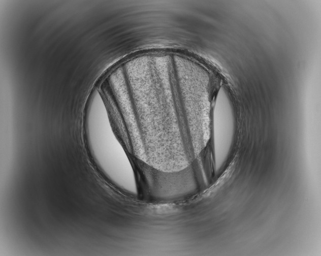 X0000094771073200711301521